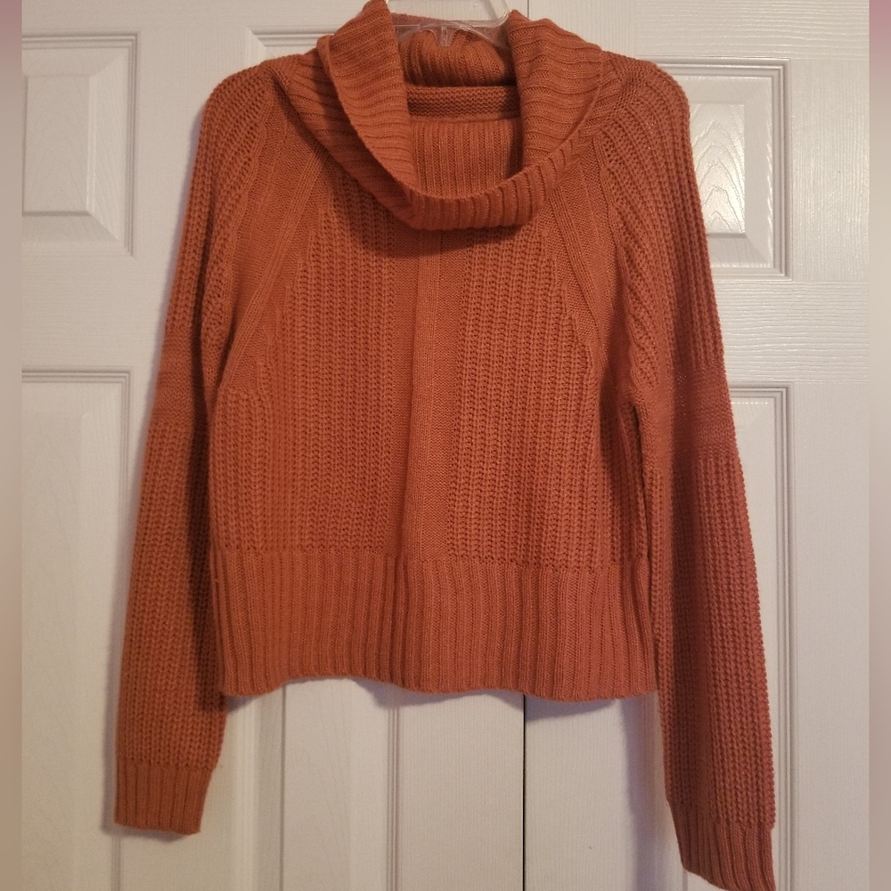 Full Circle Turtleneck Cropped Sweater